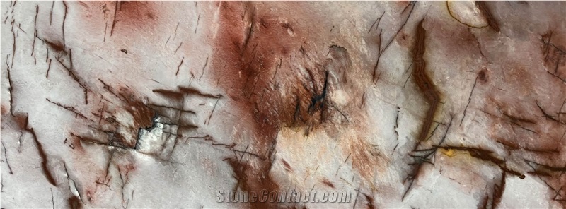 Cosmopolitan Quartzite Slabs