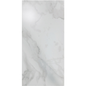 12" X 24" Paradiso Statuario Matte Porcelain Tiles