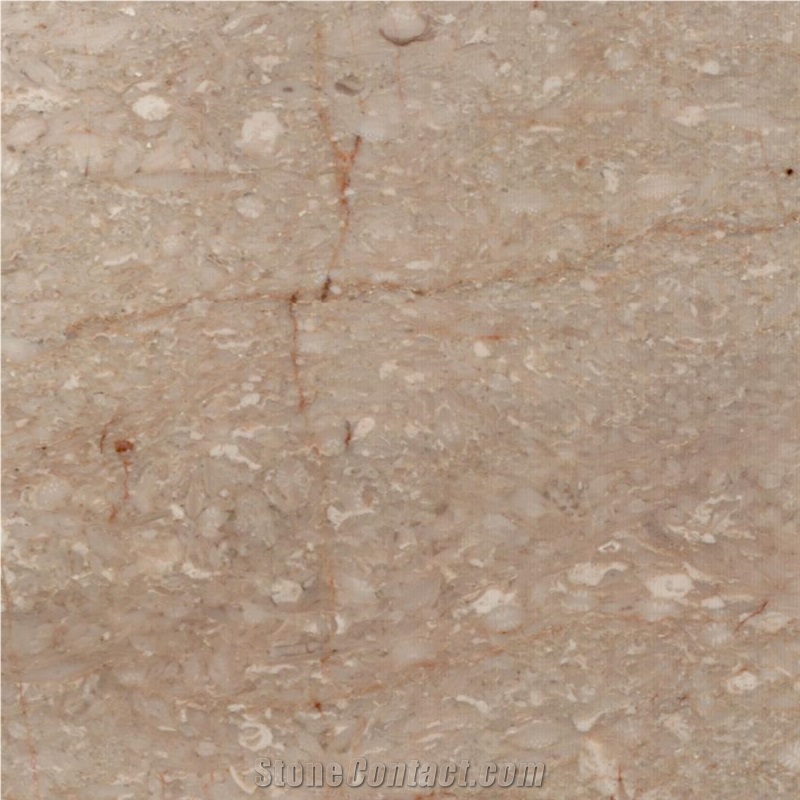Abadeh Done Berenji Marble Tile