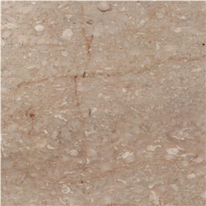 Abadeh Done Berenji Marble Tile