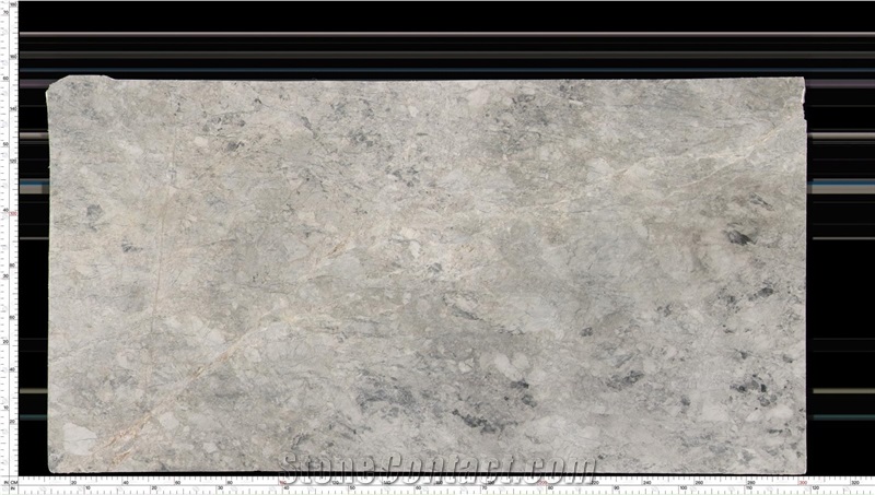 Armani Silver Marble Slab