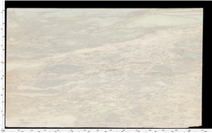 Bianco Leopardo Marble Slab