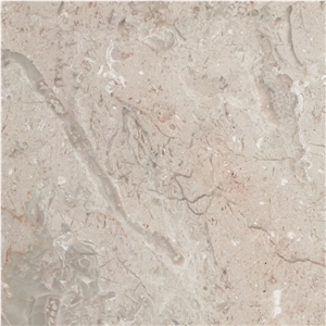 Diplomat Marble Tile