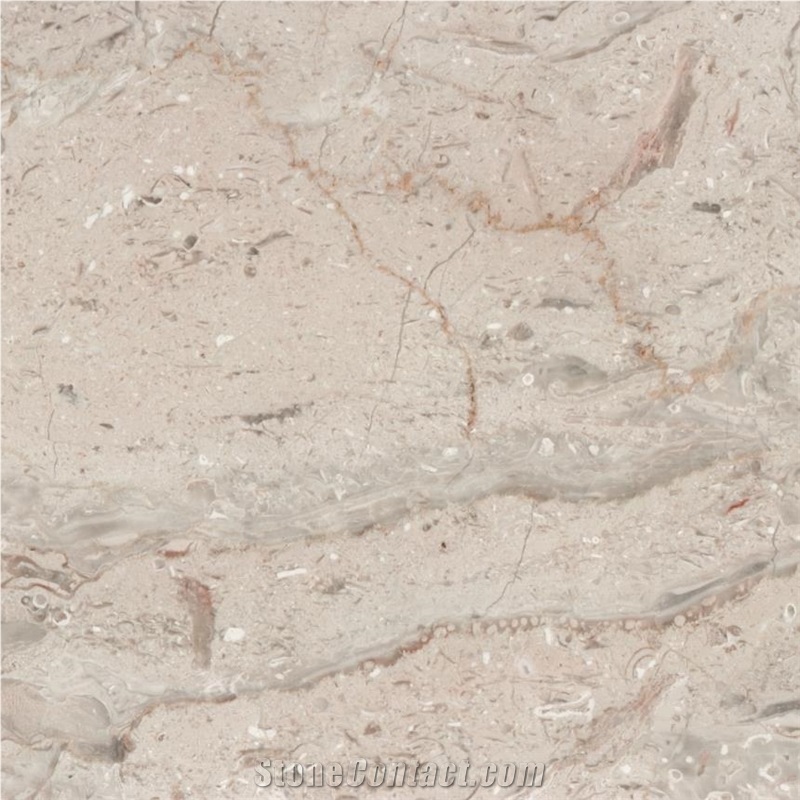 Diplomat Marble Tile