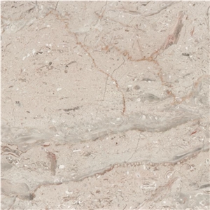 Diplomat Marble Tile