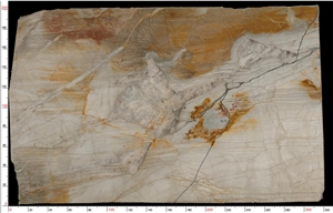 Macaubas Fantasy Gold Quartzite Slab