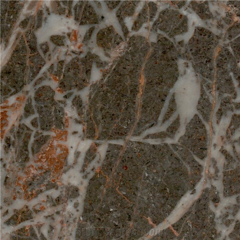 Mahyar Golden Black Marble importance=