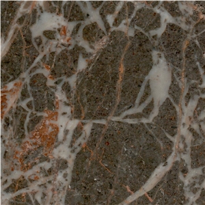 Mahyar Golden Black Marble