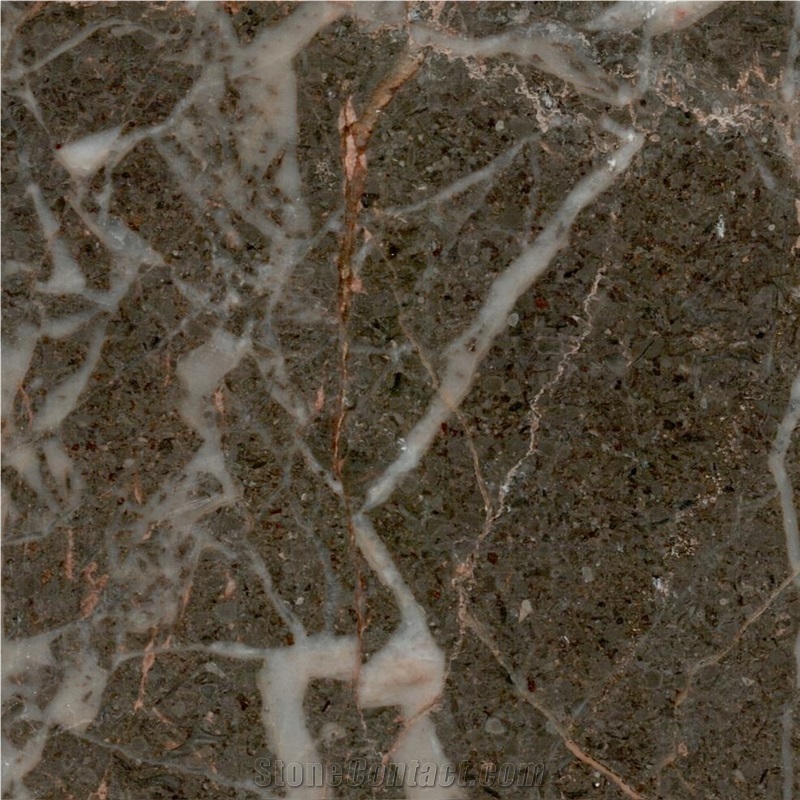 Mahyar Golden Black Marble Tile