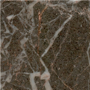 Mahyar Golden Black Marble Tile