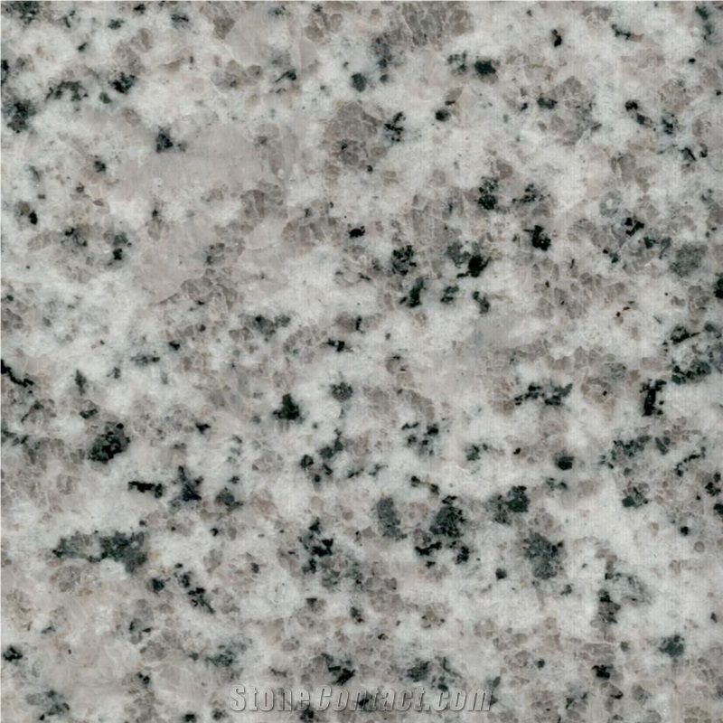 Natanz Habibollahi Granite Tile