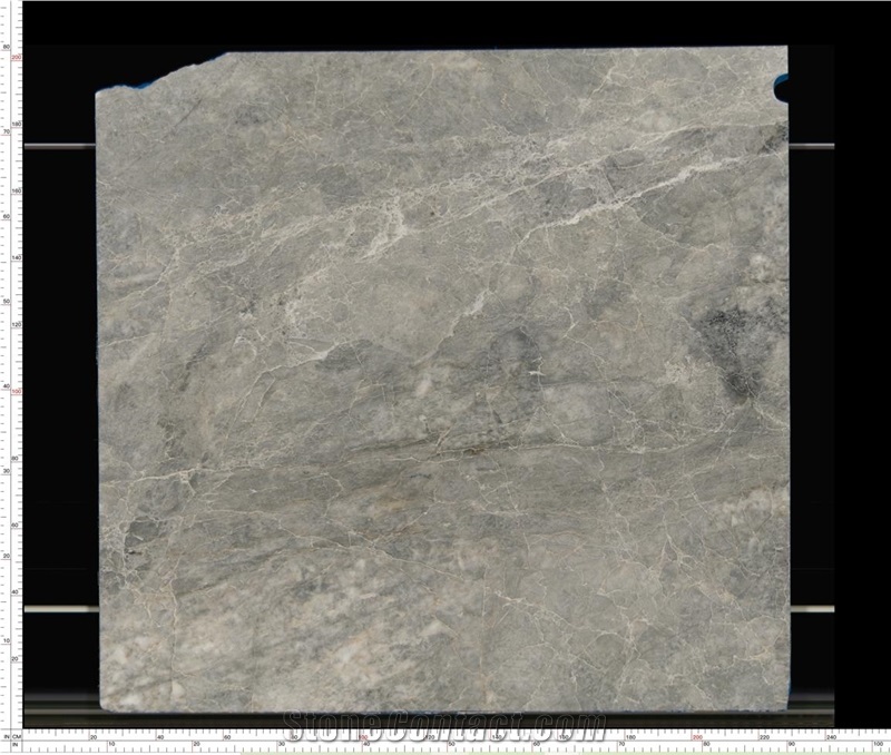 Paris Grey Marble Slab