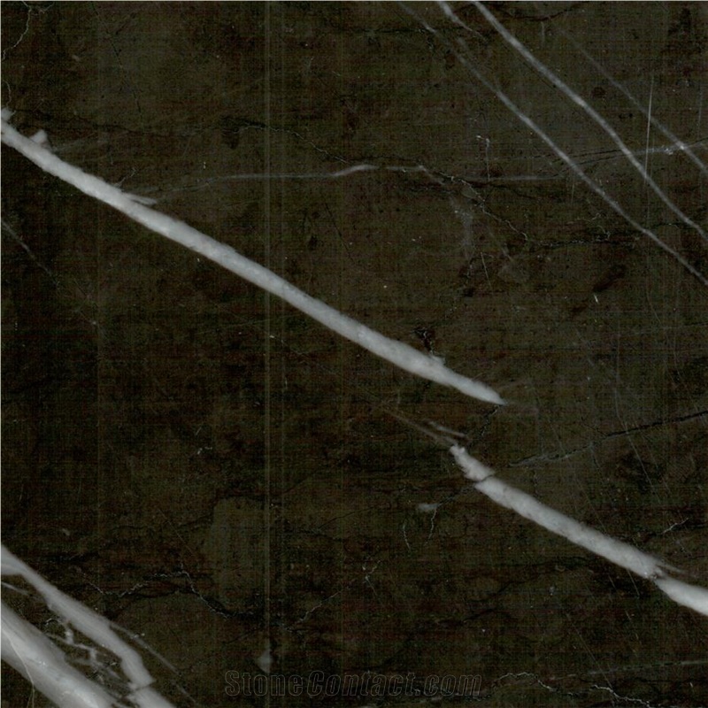 Persian Nero Marquina Marble Tile