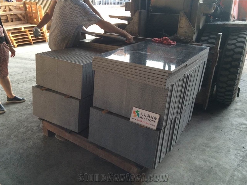 Black Galaxy Granite Wall Tiles