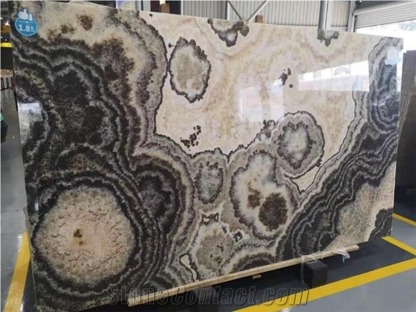 High Quality Exotic Jalisco Black Onyx Big Slabs