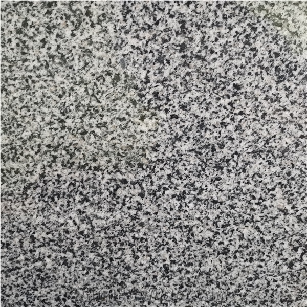 HN G654 New Sesam Grey Granite Big Flower G654 Polished Slab