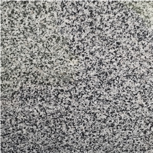 HN G654 New Sesam Grey Granite Big Flower G654 Polished Slab