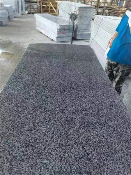 HN G654 New Sesam Grey Granite Big Flower G654 Polished Slab