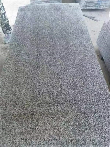 HN G654 New Sesam Grey Granite Big Flower G654 Polished Slab