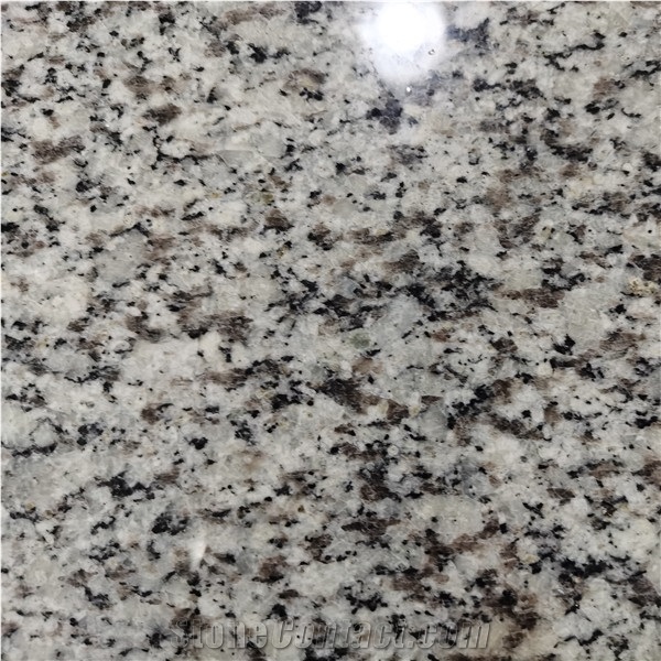 New G655 Panda White Granite Tiles,Slabs