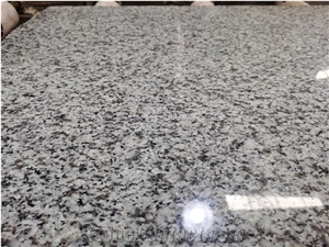 New G655 Panda White Granite Tiles,Slabs