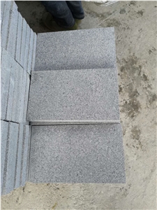 Swimming Pool Coping Pavers G654 Bushhammered With Sealer