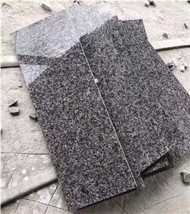 Wuyi Ice Flower Granite Slabs