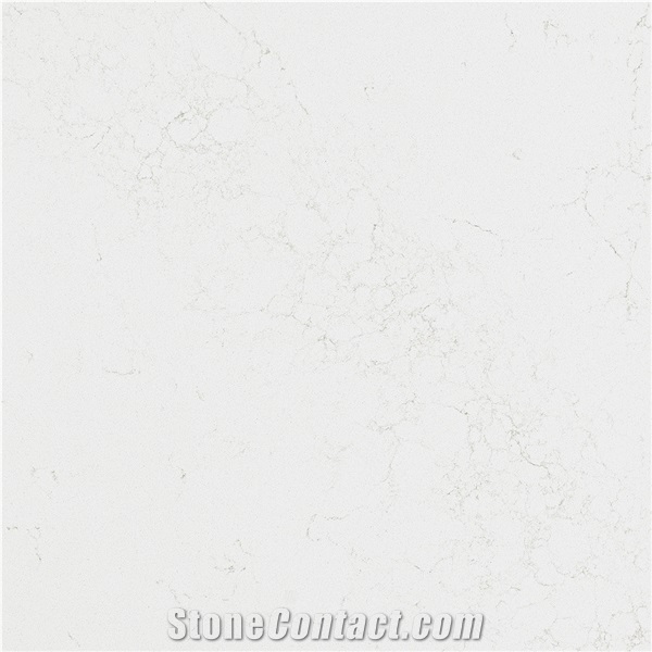 Calacatta Sueste Quartz