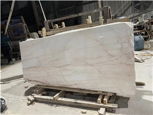 Red Line Marmara Dolomite Marble White Spider Slab Tile
