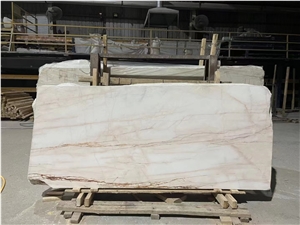 Red Line Marmara Dolomite Marble White Spider Slab Tile