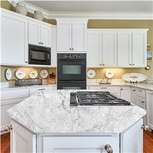 Goldtop OEM/ODM High Quality Alpine White Quartz Countertops