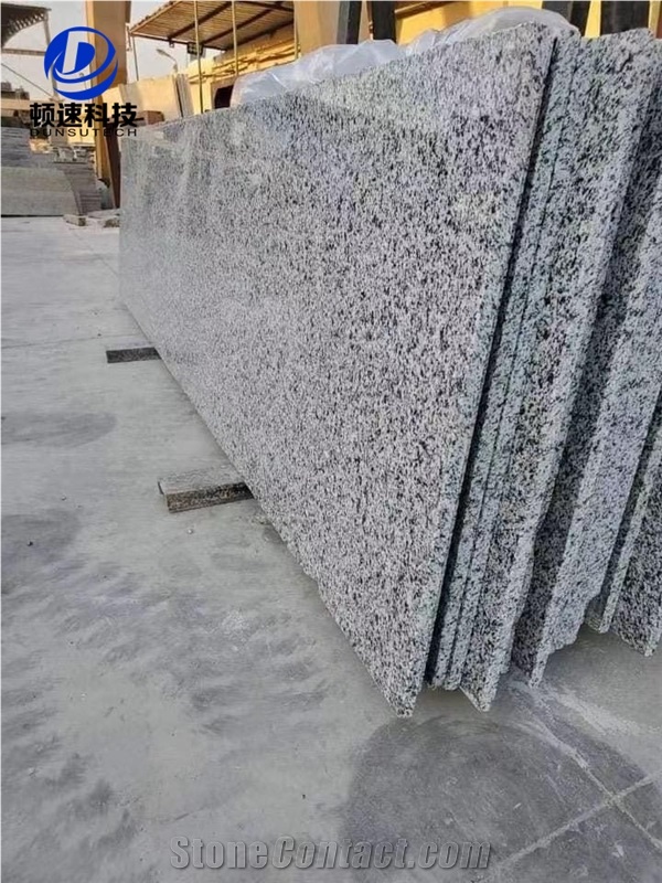 China Quarry Owner Cheaper Price Egypt Granite New Halayeb