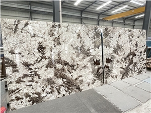 Fox Of Snowy Mountain Composite Plastic Honeycomb Panel