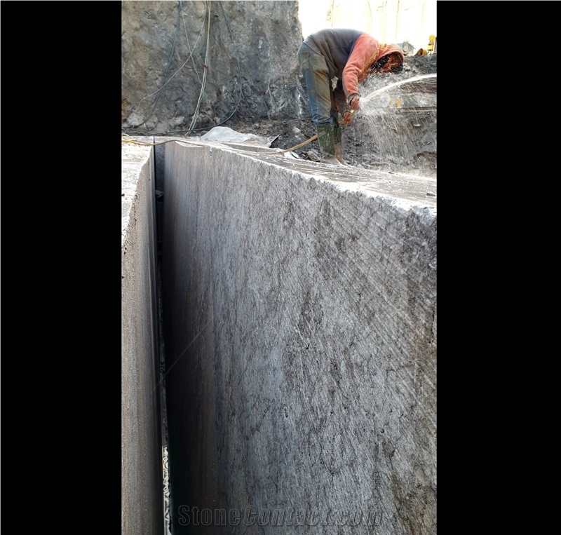 Grey Lido Marble - Taffry Gray