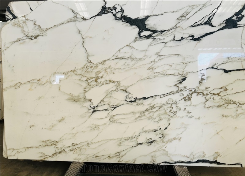 Calacatta Monet Marble Slabs