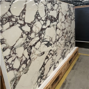 Arabescato Carrara Sintered Stone Slabs For Wall Floor Tiles