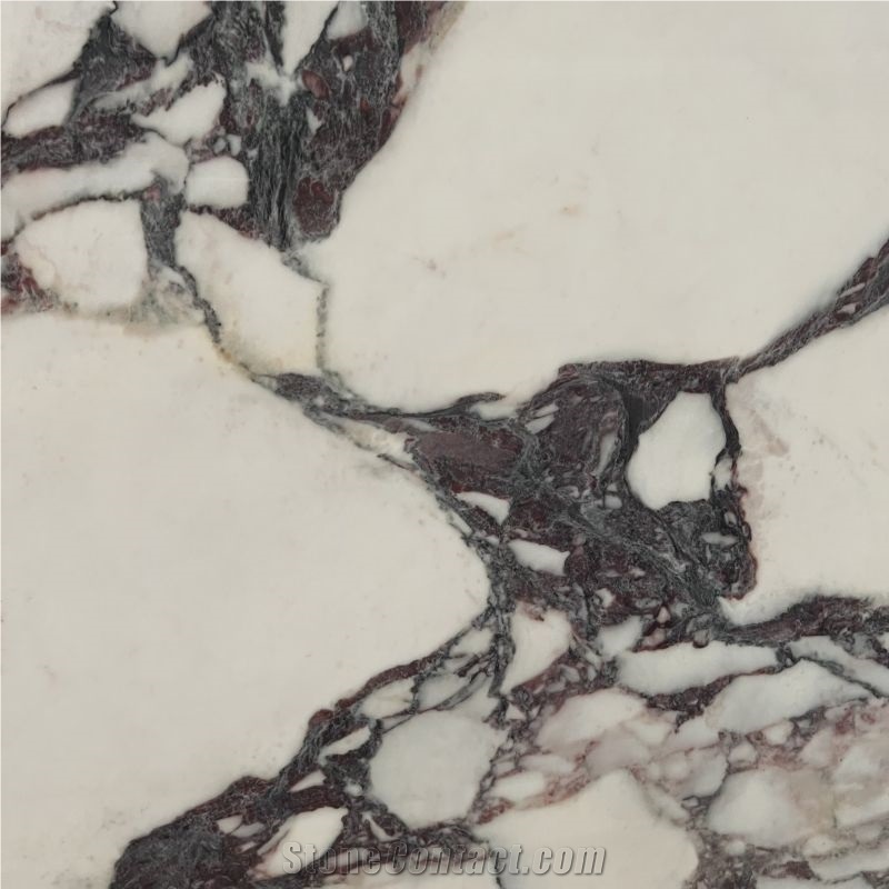 Arabescato Carrara Sintered Stone Slabs For Wall Floor Tiles