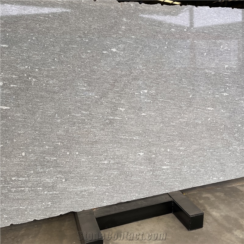 High Quality Natural Alps Snow Gneiss Slabs For Wall