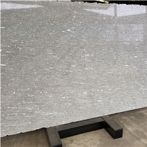 High Quality Natural Alps Snow Gneiss Slabs For Wall