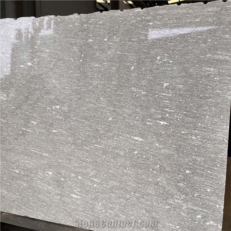 High Quality Natural Alps Snow Gneiss Slabs For Wall
