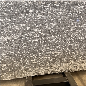Polished Alps Snow Gneiss Slab For Home &Hotel Decor