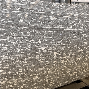 Polished Alps Snow Gneiss Slab For Home &Hotel Decor