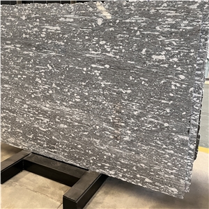 Polished Alps Snow Gneiss Slab For Home &Hotel Decor