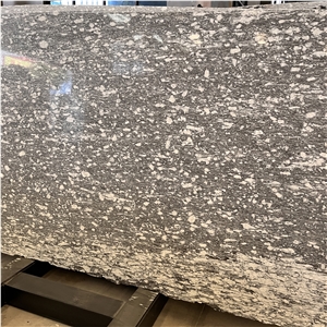 Polished Alps Snow Gneiss Slab For Home &Hotel Decor