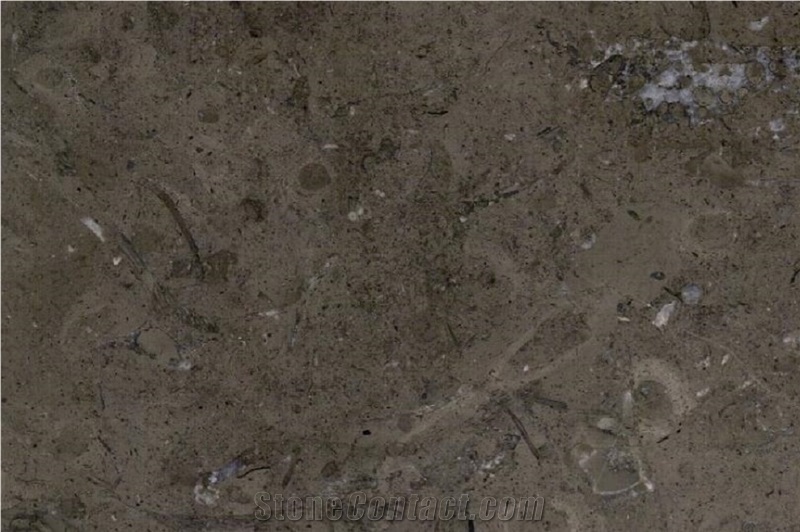 Milly Brown Marble Tiles, Marble Slabs
