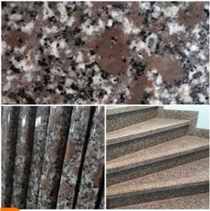 Vietnam PC Violet  Granite Slab And Tiles