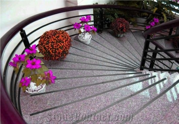 Wholesales Violet Phu Cat Granite Slab And Tiles