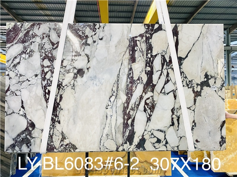 Calacatta Viola Marble