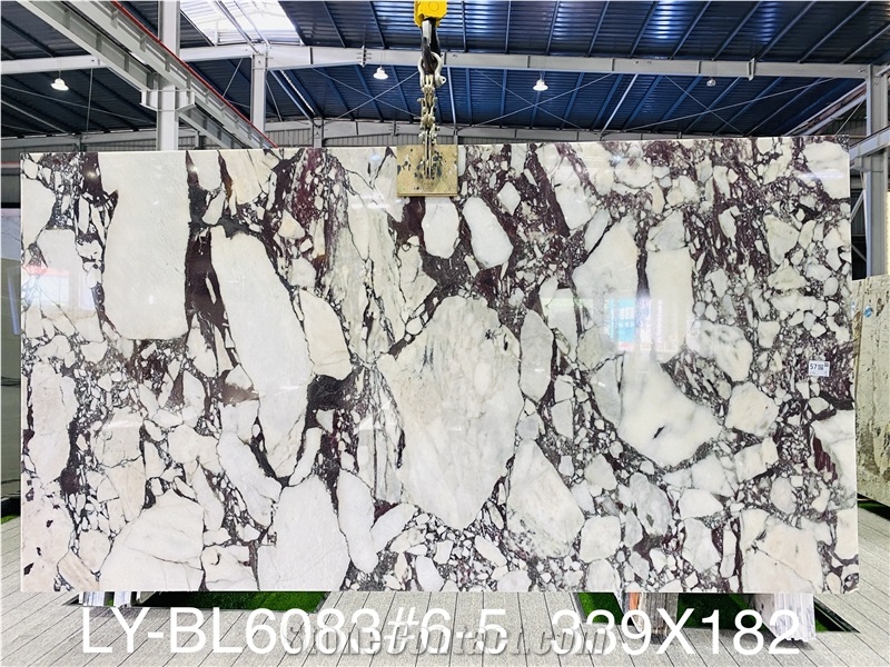 Calacatta Viola Marble