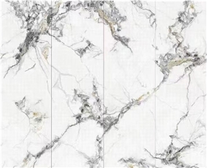 800X2600mm Summer Elite Sintered Stone Tiles For Walling